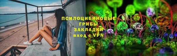 кокс Алексин